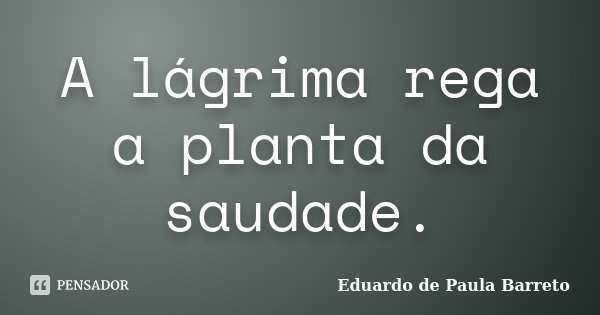 A lágrima rega a planta da saudade.... Frase de Eduardo de Paula Barreto.