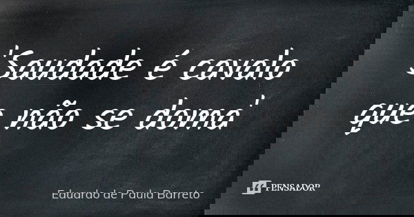 'Saudade é cavalo que não se doma'... Frase de Eduardo de Paula Barreto.
