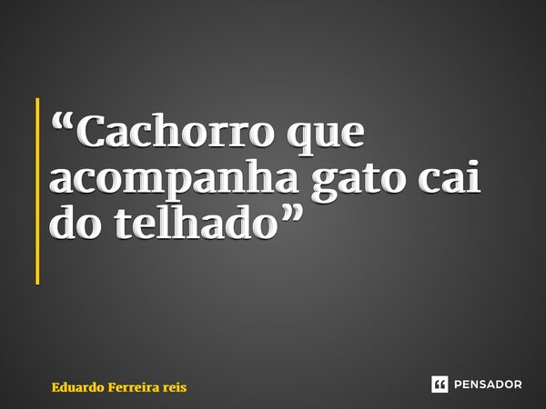 “Cachorro que acompanha gato cai do telhado” ⁠... Frase de Eduardo Ferreira reis.