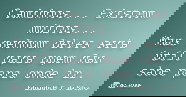 Caminhos... Existem muitos... Mas nenhum deles será útil para quem não sabe para onde ir.... Frase de Eduardo H. C. da Silva.