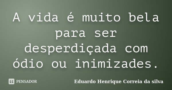 A vida é muito bela para ser desperdiçada com ódio ou inimizades.... Frase de Eduardo Henrique Correia da Silva.