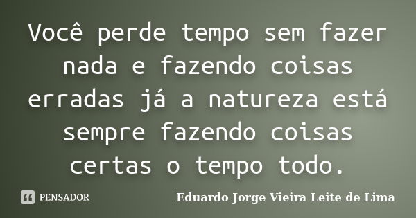 Você perde tempo sem fazer nada e fazendo coisas erradas já a natureza está sempre fazendo coisas certas o tempo todo.... Frase de Eduardo Jorge Vieira Leite de Lima.