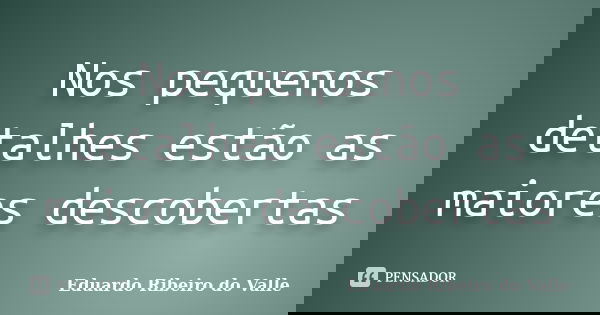 Nos pequenos detalhes estão as maiores descobertas... Frase de Eduardo Ribeiro do Valle.