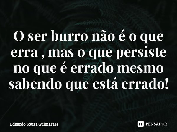 ⁠O ser burro não é o que erra , mas o que persiste no que é errado mesmo sabendo que está errado!... Frase de Eduardo Souza Guimarães.