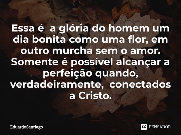 ⁠Essa é a glória do homem um dia bonita como uma flor, em outro murcha sem o amor. Somente é possível alcançar a perfeição quando, verdadeiramente, conectados a... Frase de EduardoSantiago.