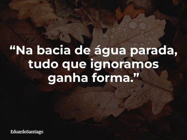 “Na bacia de água parada, tudo que ignoramos ganha forma.”... Frase de EduardoSantiago.