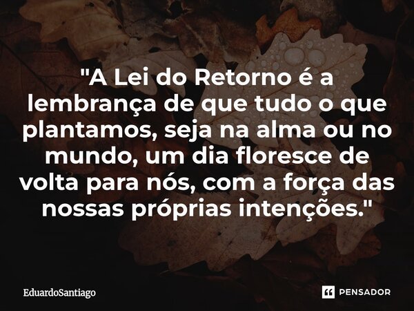 ⁠"A Lei do Retorno é a lembrança de que tudo o que plantamos, seja na alma ou no mundo, um dia floresce de volta para nós, com a força das nossas próprias ... Frase de EduardoSantiago.