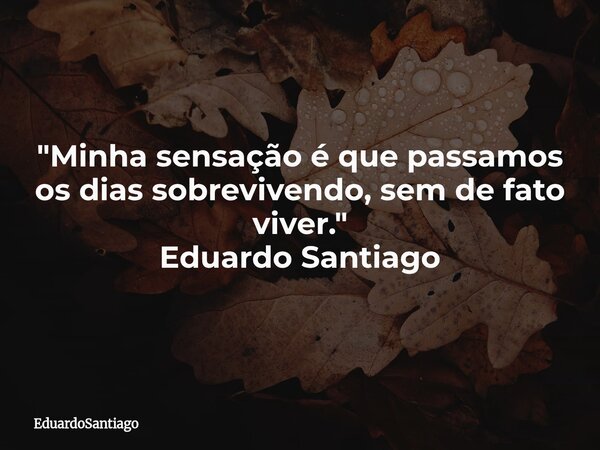 "Minha sensação é que passamos os dias sobrevivendo, sem de fato viver." Eduardo Santiago... Frase de EduardoSantiago.