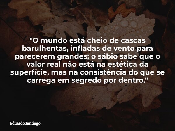"O mundo está cheio de cascas barulhentas, infladas de vento para parecerem grandes; o sábio sabe que o valor real não está na estética da superfície, mas... Frase de EduardoSantiago.