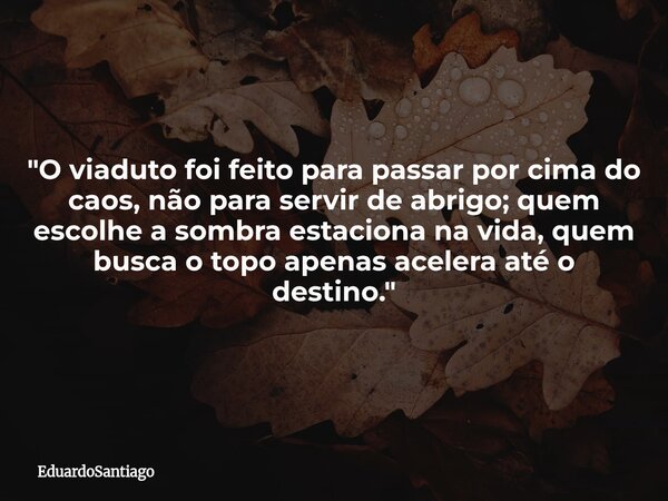 ​"O viaduto foi feito para passar por cima do caos, não para servir de abrigo; quem escolhe a sombra estaciona na vida, quem busca o topo apenas acelera at... Frase de EduardoSantiago.