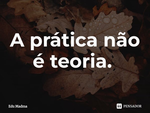 A prática não é teoria. ⁠... Frase de Edu Madma.