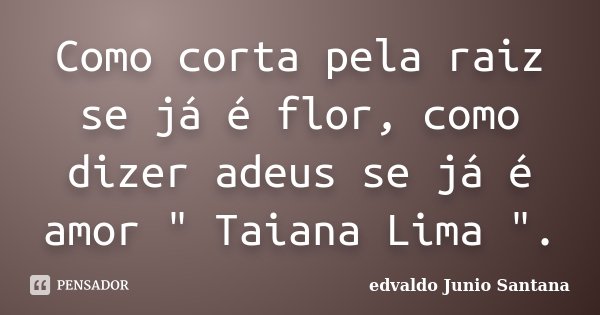 Como corta pela raiz se já é flor, como dizer adeus se já é amor " Taiana Lima ".... Frase de edvaldo Junio Santana.