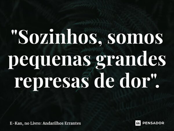 ⁠"Sozinhos, somos pequenas grandes represas de dor".... Frase de E-Kan, no Livro: Andarilhos Errantes.