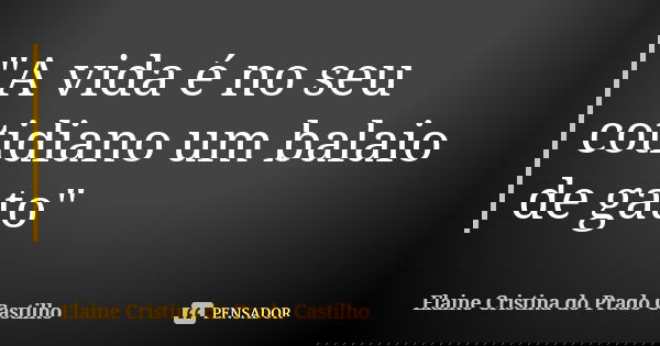 "A vida é no seu cotidiano um balaio de gato"... Frase de Elaine Cristina do Prado Castilho.