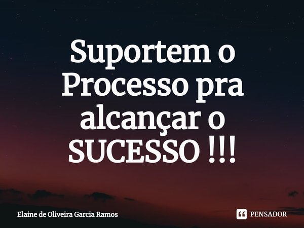 ⁠Suportem o Processo pra alcançar o SUCESSO !!!... Frase de Elaine de oliveira Garcia Ramos.