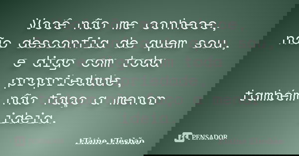 Você não me conhece, não desconfia de quem sou, e digo com toda propriedade, também não faço a menor ideia.... Frase de Elaine Elesbão.