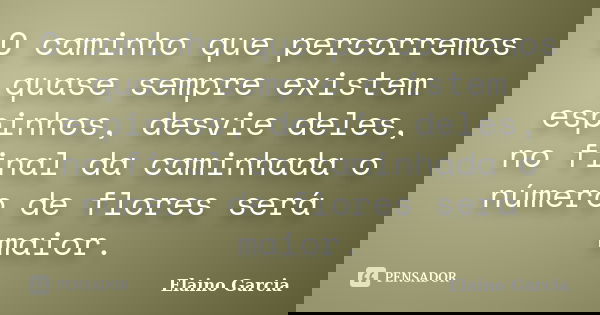O caminho que percorremos quase sempre existem espinhos, desvie deles, no final da caminhada o número de flores será maior.... Frase de Elaino Garcia.