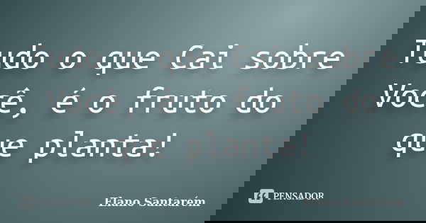 Tudo o que Cai sobre Você, é o fruto do que planta!... Frase de Elano Santarém.