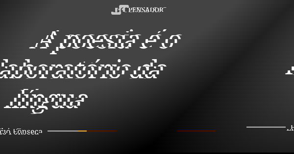 A poesia é o laboratório da língua... Frase de Elcio Fonseca.