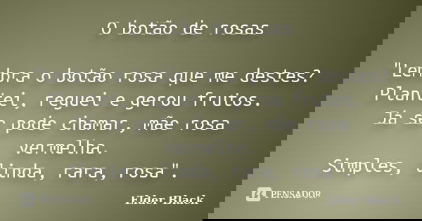 O botão de rosas "Lembra o botão rosa que me destes? Plantei, reguei e gerou frutos. Já se pode chamar, mãe rosa vermelha. Simples, linda, rara, rosa"... Frase de Elder Black.