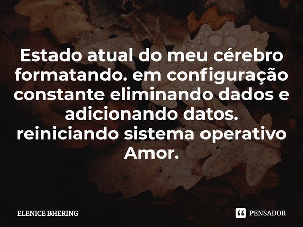 ⁠Estado atual do meu cérebro formatando. em configuração constante eliminando dados e adicionando datos. reiniciando sistema operativo Amor.... Frase de ELENICE BHERING.