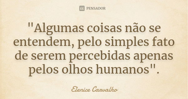 "Algumas coisas não se entendem, pelo simples fato de serem percebidas apenas pelos olhos humanos".... Frase de Elenice Carvalho.