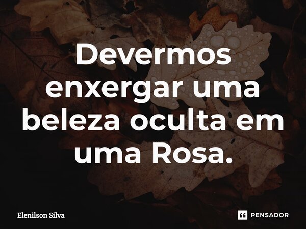 ⁠Devermos enxergar uma beleza oculta em uma Rosa.... Frase de Elenilson Silva.