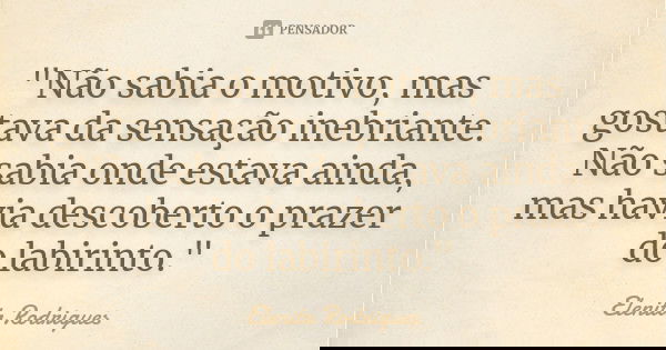 "Não sabia o motivo, mas gostava da sensação inebriante. Não sabia onde estava ainda, mas havia descoberto o prazer do labirinto."... Frase de Elenita Rodrigues.