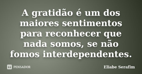 A gratidão é um dos maiores sentimentos para reconhecer que nada somos, se não fomos interdependentes.... Frase de Eliabe Serafim.