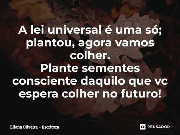 ⁠A lei universal é uma só; plantou, agora vamos colher. Plante sementes consciente daquilo que vc espera colher no futuro!... Frase de Eliana Oliveira - Escritora.