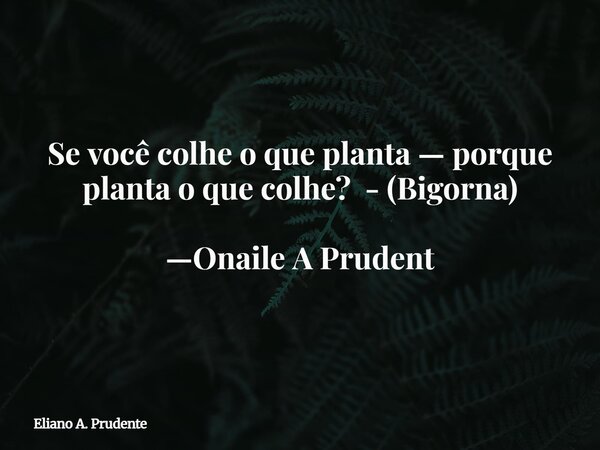 Se você colhe o que planta — porque planta o que colhe?- (Bigorna) —Onaile A Prudent... Frase de Eliano A. Prudente.