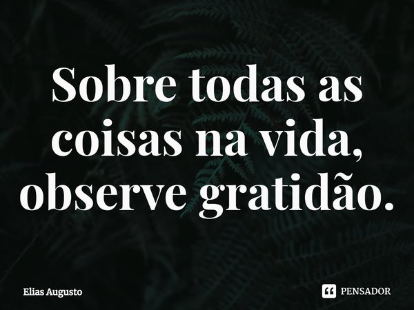 ⁠Sobre todas as coisas na vida, observe gratidão.... Frase de Elias Augusto.