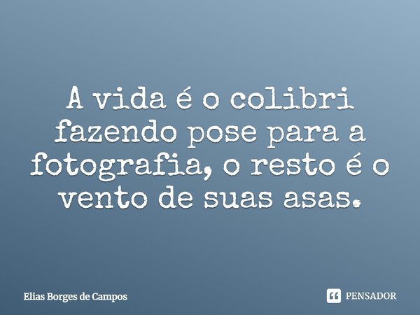 ⁠A vida é o colibri fazendo pose para a fotografia, o resto é o vento de suas asas.... Frase de Elias Borges de Campos.