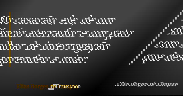 No casarão, ele, de um silêncio aterrador e um gato com olhar de interrogação que desaprendeu a miar.... Frase de Elias Borges de Campos.