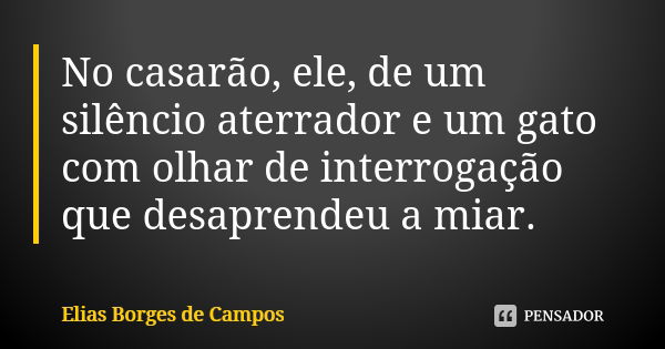 No casarão, ele, de um silêncio aterrador e um gato com olhar de interrogação que desaprendeu a miar.... Frase de Elias Borges de Campos.