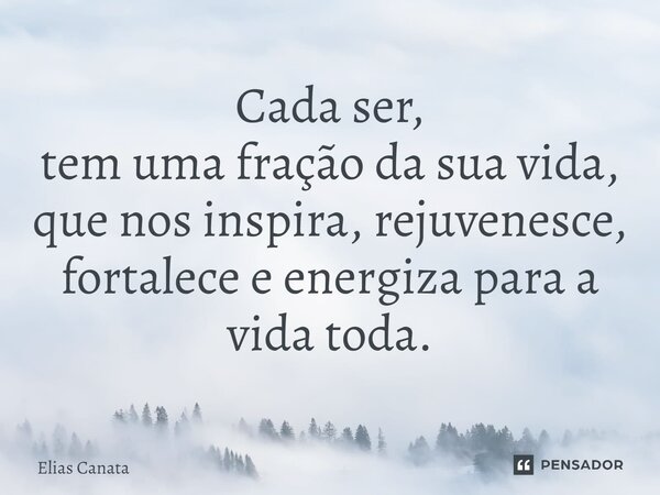⁠Cada ser, tem uma fração da sua vida, que nos inspira, rejuvenesce, fortalece e energiza para a vida toda.... Frase de Elias Canata.