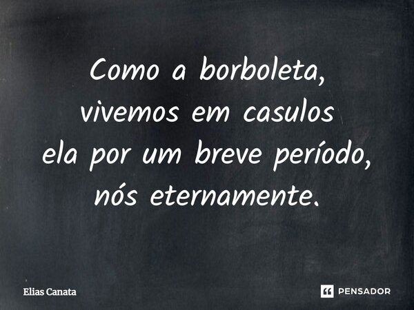 ⁠Como a borboleta, vivemos em casulos ela por um breve período, nós eternamente.... Frase de Elias Canata.