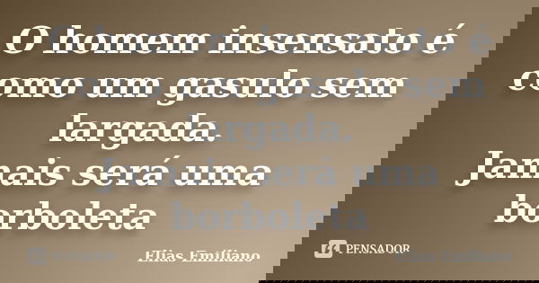 O homem insensato é como um gasulo sem largada. Jamais será uma borboleta... Frase de Elias Emiliano.