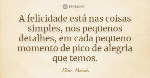 A felicidade está nas coisas simples, nos pequenos detalhes, em cada pequeno momento de pico de alegria que temos.... Frase de Elias Moisés.