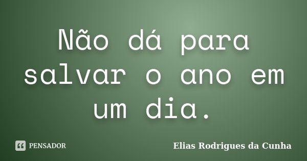 Não dá para salvar o ano em um dia.... Frase de Elias Rodrigues da Cunha.