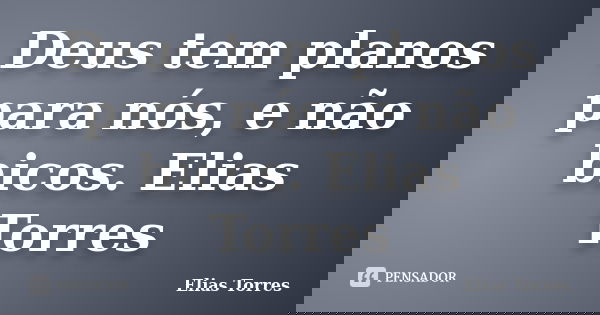 Deus tem planos para nós, e não bicos. Elias Torres... Frase de Elias Torres.