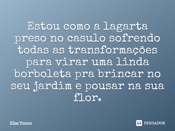 ⁠Estou como a lagarta preso no casulo sofrendo todas as transformações para virar uma linda borboleta pra brincar no seu jardim e pousar na sua flor.... Frase de Elias Torres.