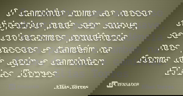 O caminho rumo ao nosso objetivo pode ser suave, se colocarmos prudência nos passos e também na forma de agir e caminhar. Elias Torres... Frase de Elias Torres.