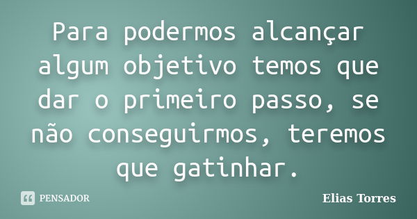 Para podermos alcançar algum objetivo temos que dar o primeiro passo, se não conseguirmos, teremos que gatinhar.... Frase de Elias Torres.