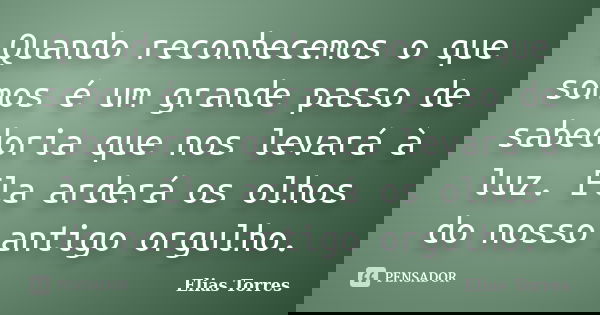 Quando reconhecemos o que somos é um grande passo de sabedoria que nos levará à luz. Ela arderá os olhos do nosso antigo orgulho.... Frase de Elias Torres.