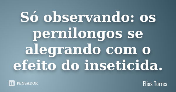 Só observando: os pernilongos se alegrando com o efeito do inseticida.... Frase de Elias Torres.