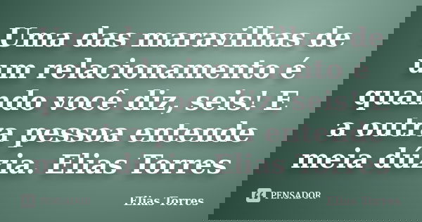 Uma das maravilhas de um relacionamento é quando você diz, seis! E a outra pessoa entende meia dúzia. Elias Torres... Frase de Elias Torres.