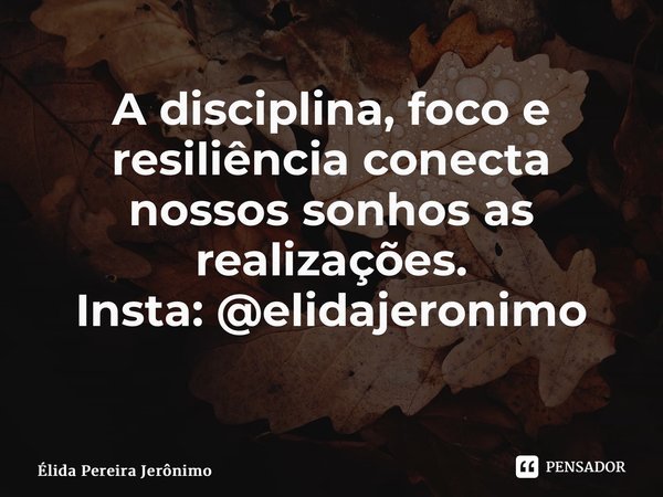 A disciplina, foco e resiliência conecta nossos sonhos as realizações. Insta: @elidajeronimo ⁠... Frase de Élida Pereira Jerônimo.