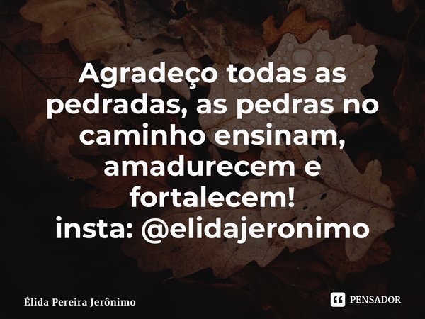 Agradeço todas as pedradas, as pedras no caminho ensinam, amadurecem e fortalecem! ⁠insta: @elidajeronimo... Frase de Élida Pereira Jerônimo.