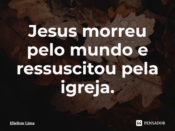 ⁠Jesus morreu pelo mundo e ressuscitou pela igreja.... Frase de Elielton Lima.